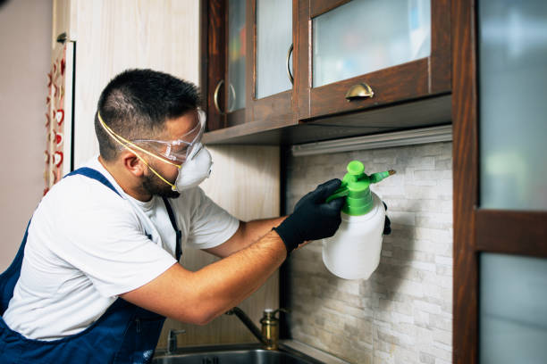  Sugar Land, TX Pest Control Pros