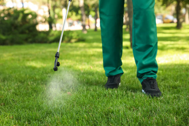 Trusted Sugar Land, TX Pest Control Experts