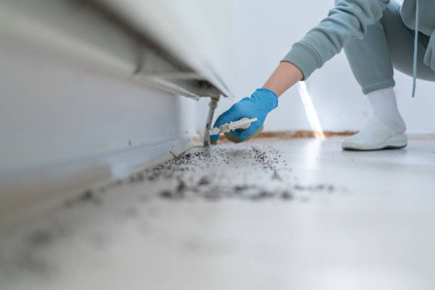Sugar Land, TX Pest Control Company