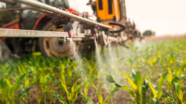 Best Pest Prevention Services  in Sugar Land, TX